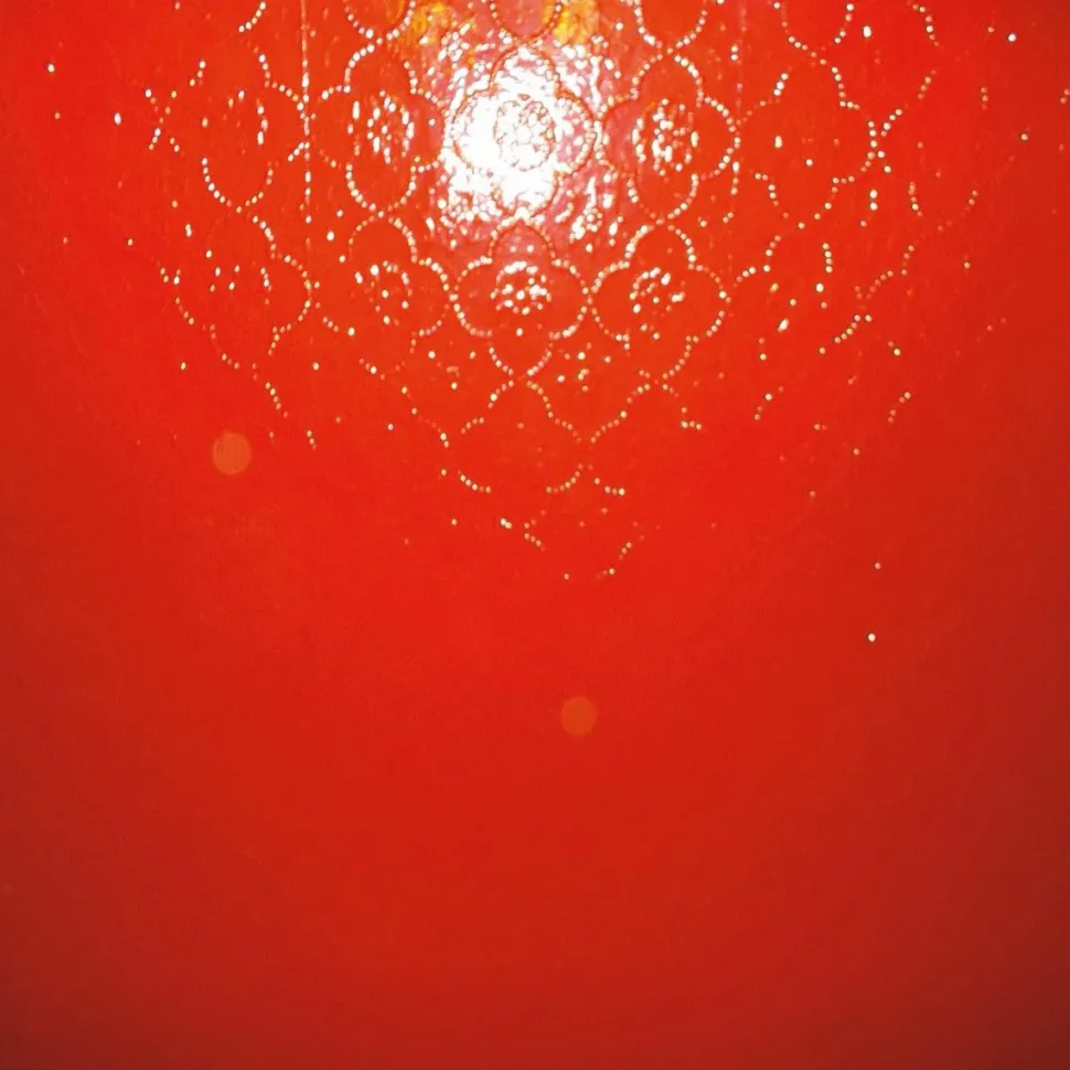 ******** - The Drink LP Vinyl Record