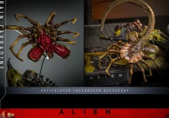 Alien: Romulus (2024) - Rain Carradine 1/6th Scale Hot Toys Action Figure