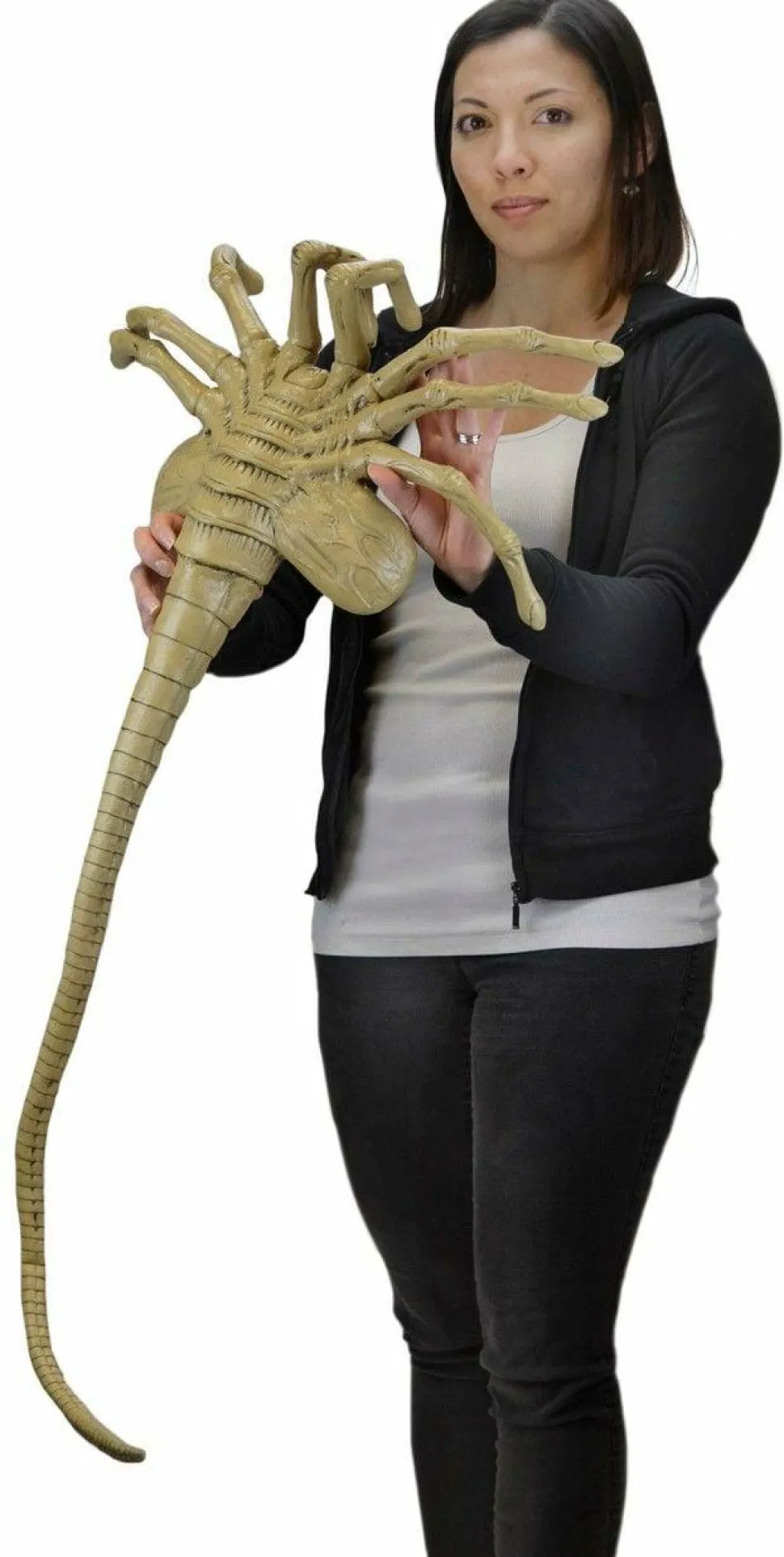 Aliens - Facehugger 1:1 Scale Life-Size Foam Replica