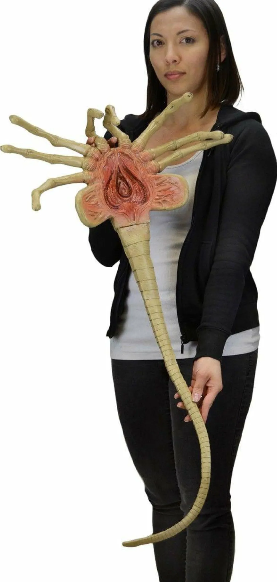 Aliens - Facehugger 1:1 Scale Life-Size Foam Replica