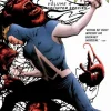 Animal Man - Volume 04 Splinter Species TPB (Trade Paperback)