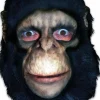 Animals - Chimpanzee Deluxe Adult Mask