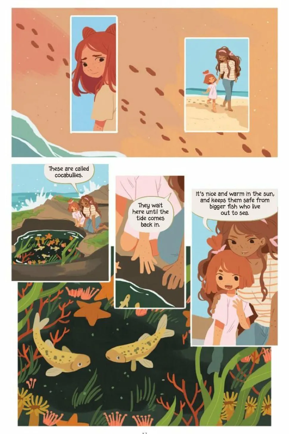 Aquicorn Cove by Katie O'Neill Paperback Book