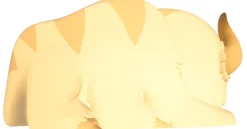 Avatar the Last Airbender - Appa 3