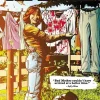 Bad Mother by Christa Faust Trade Paperback Book