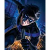 Batman - Nightwing Fine Art Print by Warren Louw