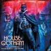 Batman - Shadows of the Bat: House of Gotham Hardcover Book