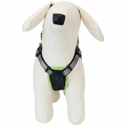 Beetlejuice - Cosplay Mini Backpack Dog Harness (Medium)