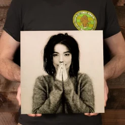 Bjork - Debut LP Vinyl Record