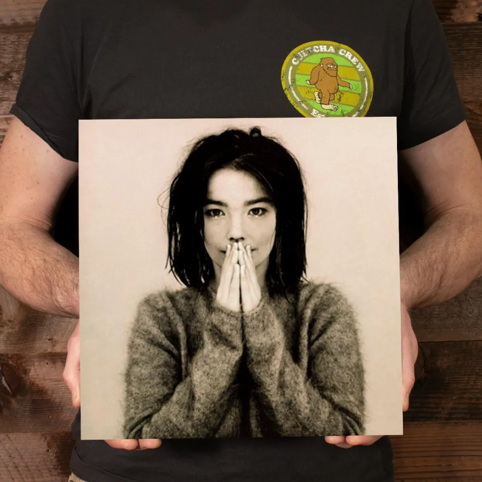 Bjork - Debut LP Vinyl Record