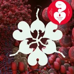 Bjork - Fossora Remixes 12" Single Vinyl Record (2023 Record Store Day Black Friday Exclusive Clear Vinyl)