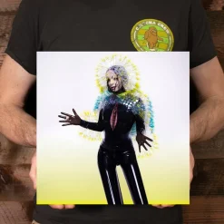 Bjork - Vulnicura 2xLP Vinyl Record