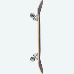 Bruce Lee - DGK x Bruce Lee Technique 8.25” Skateboard Deck (Complete Deck)