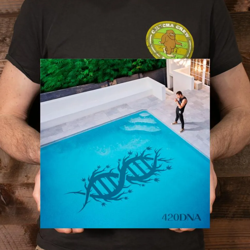 Chillinit - 420DNA LP Vinyl Record