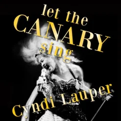 Cyndi Lauper - Let the Canary Sing LP Vinyl Record