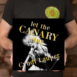 Cyndi Lauper - Let the Canary Sing LP Vinyl Record