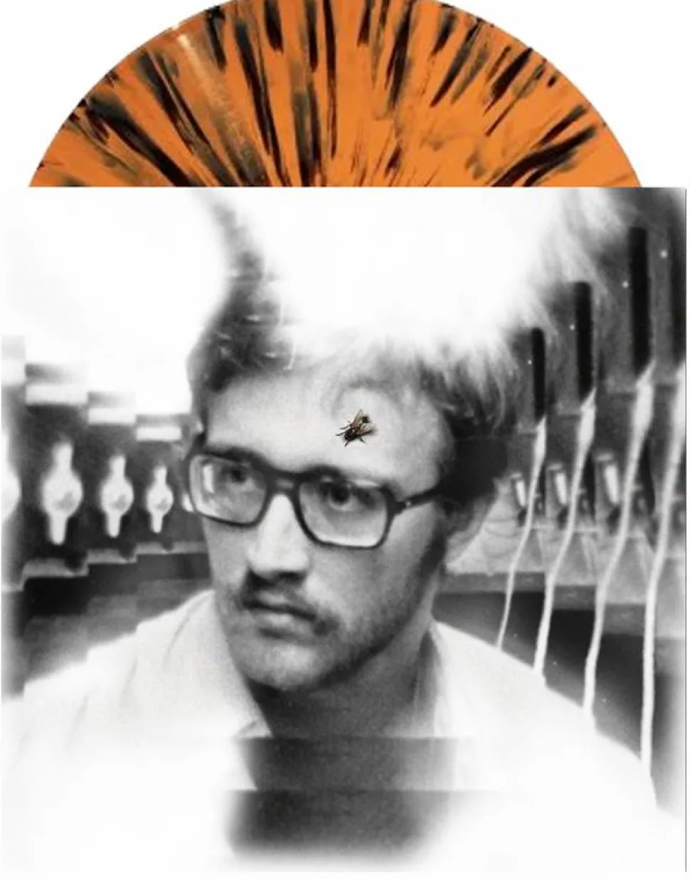 Damaged Bug - Bug On Yonkers LP Vinyl Record (Orange & Black "Tiger Stripe" Coloured Vinyl)