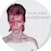 David Bowie - Aladdin Sane Vinyl Record Slipmat