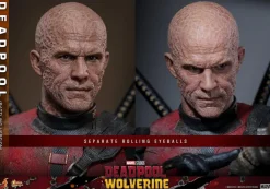 Deadpool & Wolverine (2024) - Deadpool (Battling Version) 1/6th Scale Hot Toys Action Figure