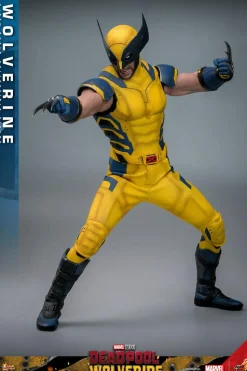 Deadpool & Wolverine (2024) - Wolverine 1/6th Scale Hot Toys Action Figure