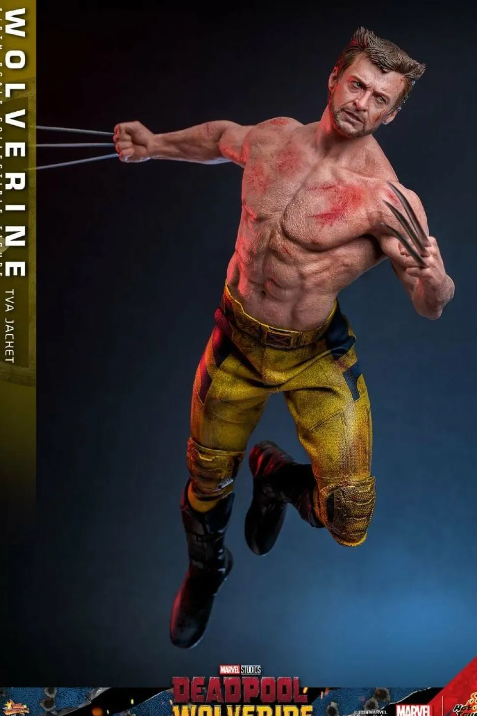 Deadpool & Wolverine (2024) - Wolverine (TVA Jacket Version) 1/6th Scale Hot Toys Action Figure