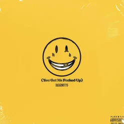Deez Nuts - You Got Me Fucked Up LP Vinyl Record (Clear Vinyl With Bonus CD)