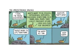 Department of Mind-Blowing Theories by Tom Gauld Hardcover Book