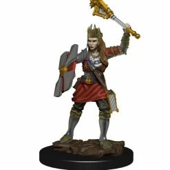 Dungeons & Dragons - Premium Human Cleric Female Miniature