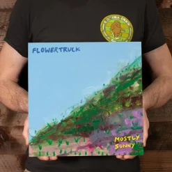 Flowertruck - Mostly Sunny LP Vinyl Record