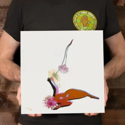 Future Islands - The Far Field LP Vinyl Record