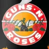 Guns N' Roses - Guns N' Roses x Primitive Next Door Silvas 8.38" Skateboard Deck (Deck Only)