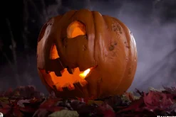 Halloween (1978) - Jack-O-Lantern 1:1 Scale Life-Size Prop Replica