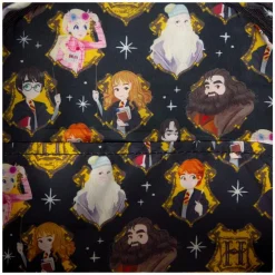 Harry Potter - Flap Pocket 10