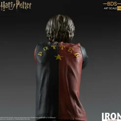 Harry Potter - Harry Potter 1/10th Scale Statue