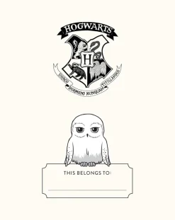Harry Potter - Hedwig Squishy Lock & Key Ruled Diary