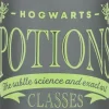 Harry Potter - Hogwarts Potions Classes Glass Potion Vase