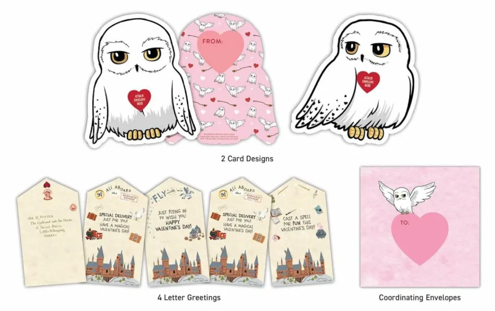Harry Potter - Owl Post Super Valentine's Day Card Box Set