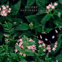 Haters - Non-Violent LP Vinyl Record