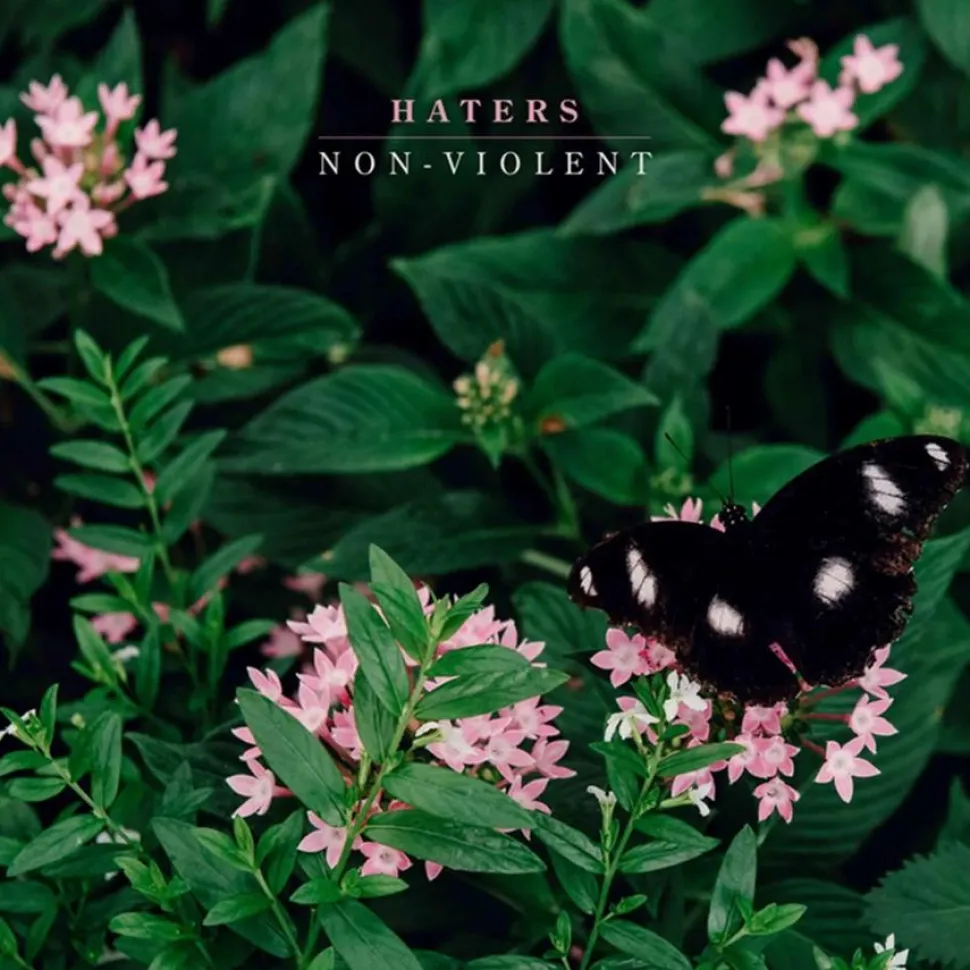 Haters - Non-Violent LP Vinyl Record