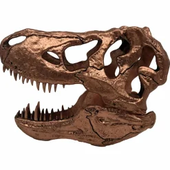 Jurassic Park - Bronze T-Rex Skull 6