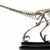 Jurassic Park - Velociraptor Skeleton Bronze 1/8th Scale Statue