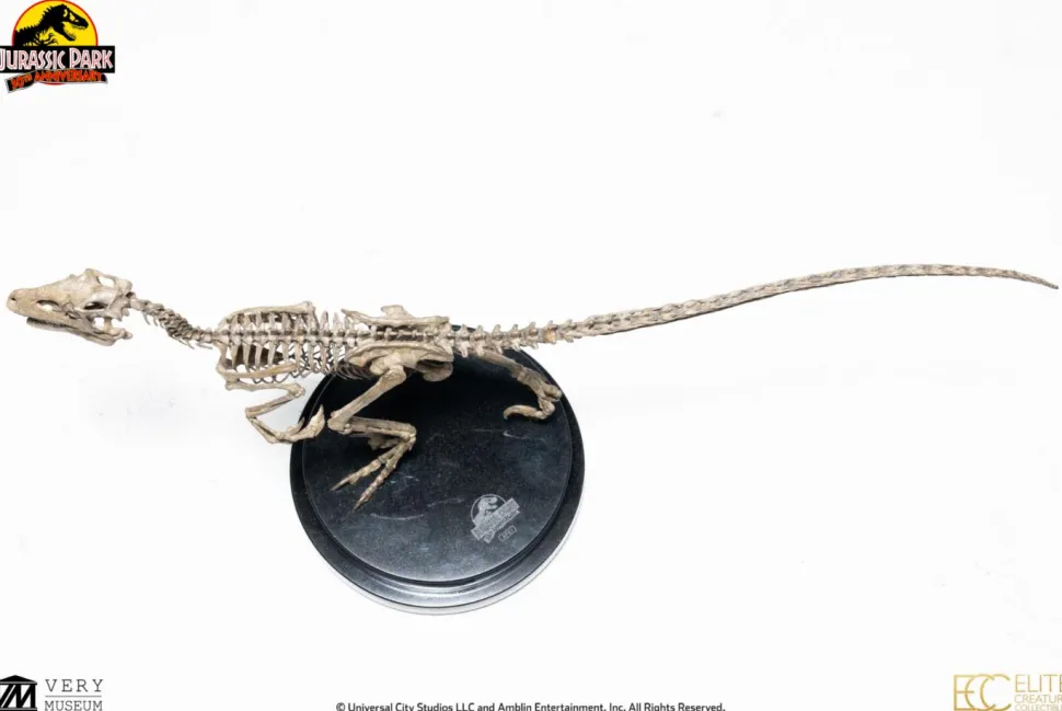 Jurassic Park - Velociraptor Skeleton Bronze 1/8th Scale Statue