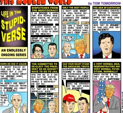 Life in the Stupidverse by Tom Tomorrow Paperback Book