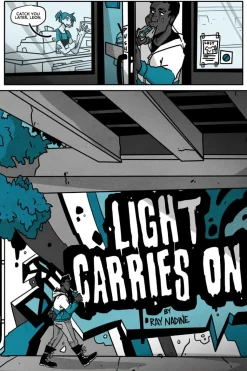 Light Carries On by Ray Nadine Hardcover Book