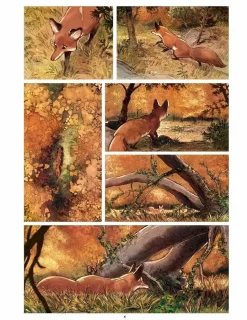 Love: The Fox by Frederic Brremaud Hardcover Book