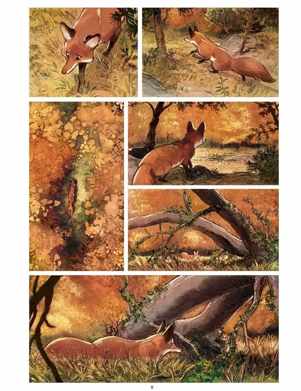 Love: The Fox by Frederic Brremaud Hardcover Book