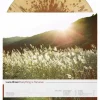 Luca Brasi - Everything Is Tenuous LP Vinyl Record (Indie Exclusive “Eaglehawk Neck” Beer With Bronze Heavy Splatter Coloured Vinyl)