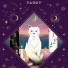 Magic Cats Tarot Deck and Guidebook by Betti Greco