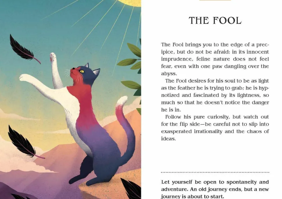 Magic Cats Tarot Deck and Guidebook by Betti Greco