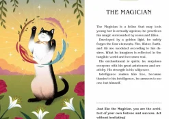 Magic Cats Tarot Deck and Guidebook by Betti Greco